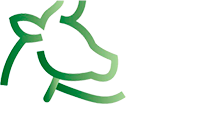 agrosintex.com